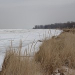 IMG_0324_mod_600w