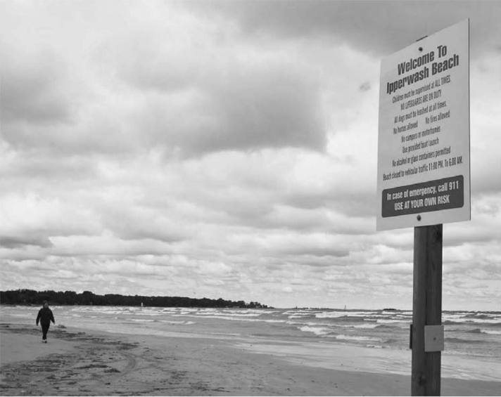Changes could be coming to West lpperwash Beach. Officials representing the West lpperwash Homeowners' Association and the Kettle and Stony Point First Nation recently present a proposal to Lambton Shores council to tackle some issues plaguing the beach, including garbage, alcohol use, and animals and vehicles on the beach.