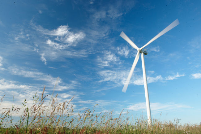 Suncor plans new wind farm