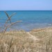 IMG_1801_bckgrnd