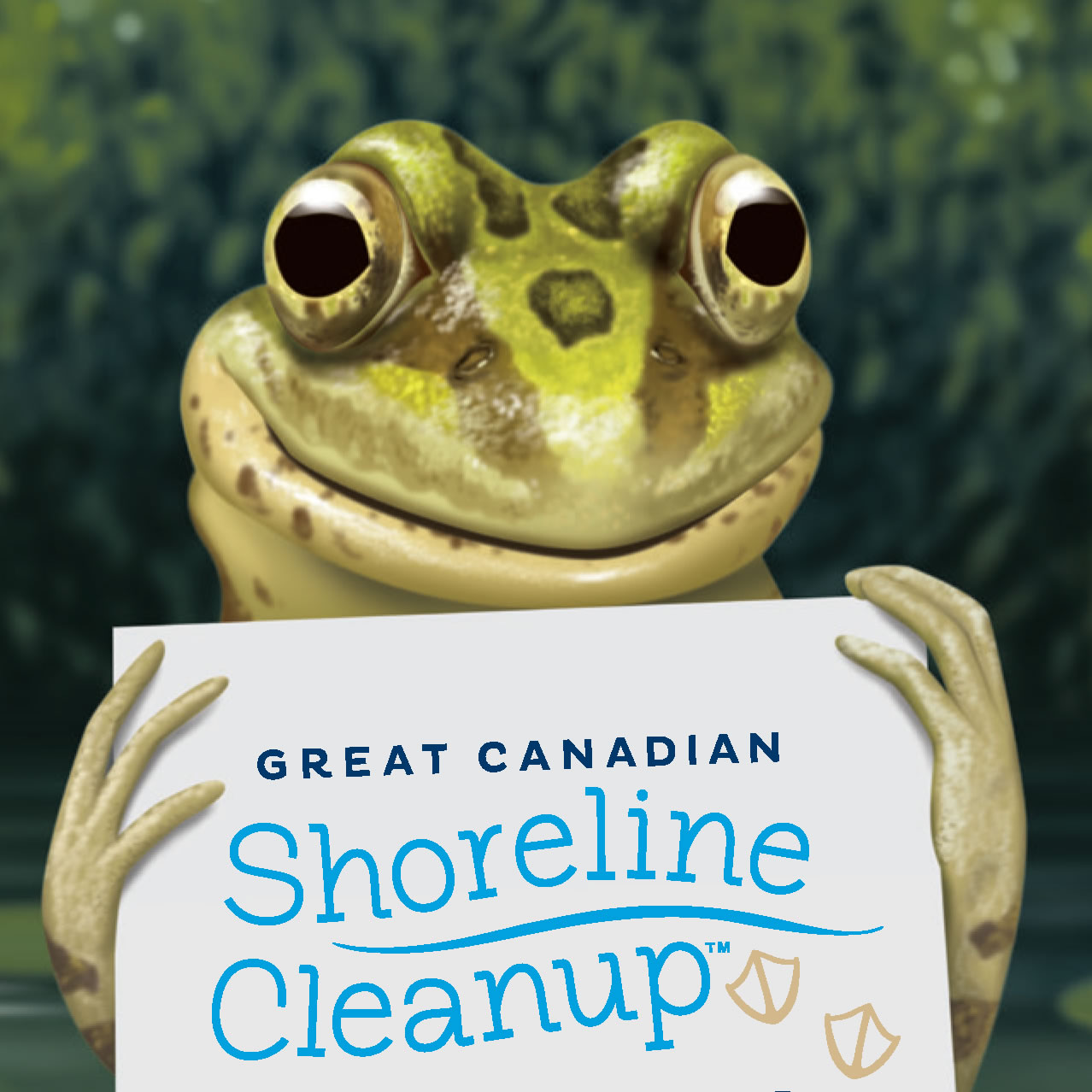 Shoreline Clean-up