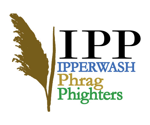 Phragmites Information Meeting